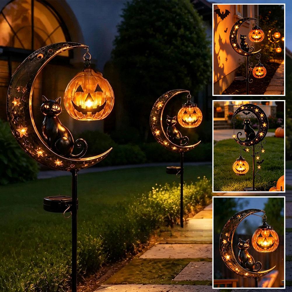 Halloween Black Cat & Pumpkin  - Pumpkin Lantern Halloween 评论和价格