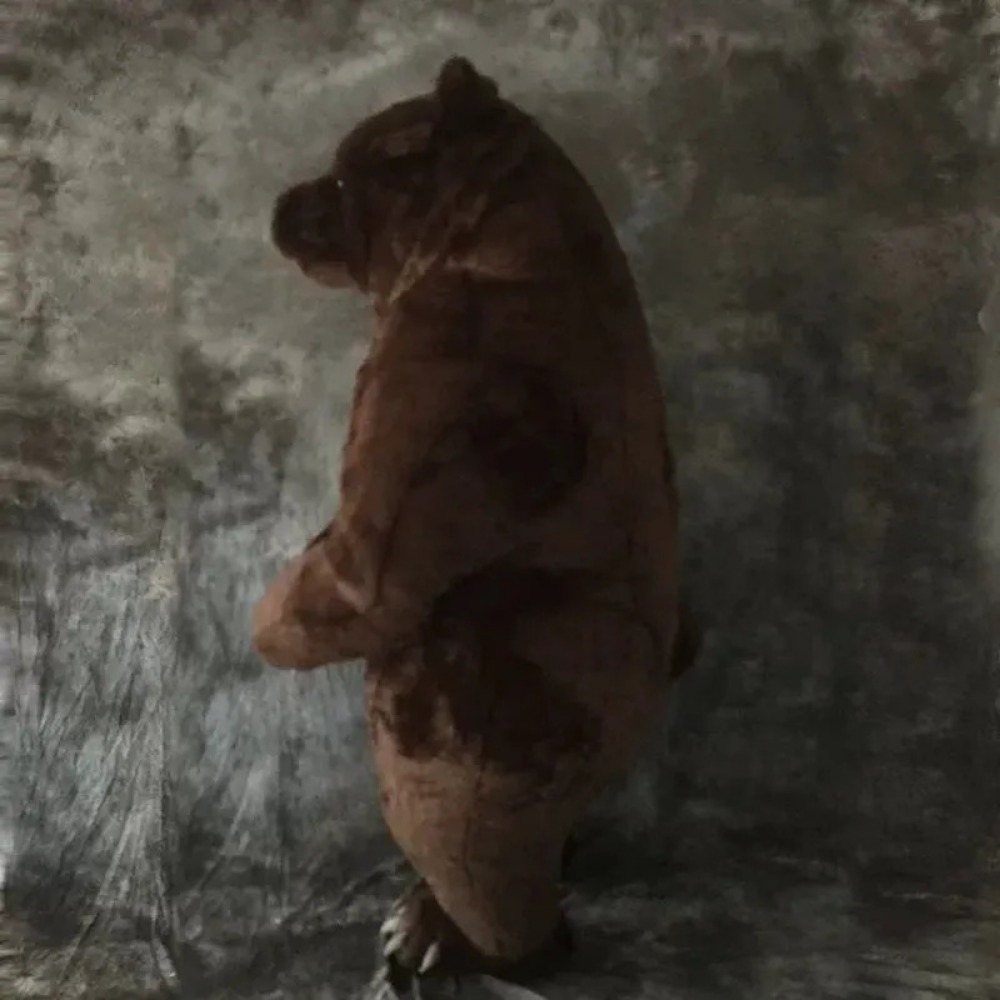 Inflatable Brown Bear Mascot C - Halloween Costume Adult 评论和价格
